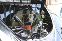 IMG_3367.JPG