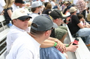 IMG_3397.JPG