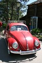 IMG_1695.jpg